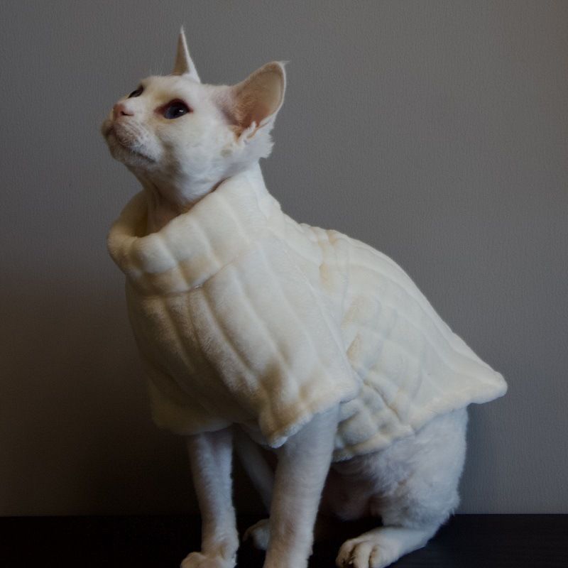 Roupas sem pelos Sphynx Devon Pet Cat Mink Fleece Base Layer Espessada Quente Confortável Resistente a Lambidas Resistente à Sujeira_voghion.com
