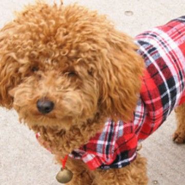 Pretty Good Brand Pet Spring Summer Teddy Plaid Shirt Dog Clothes Can Be Mixed Batch_voghion.com