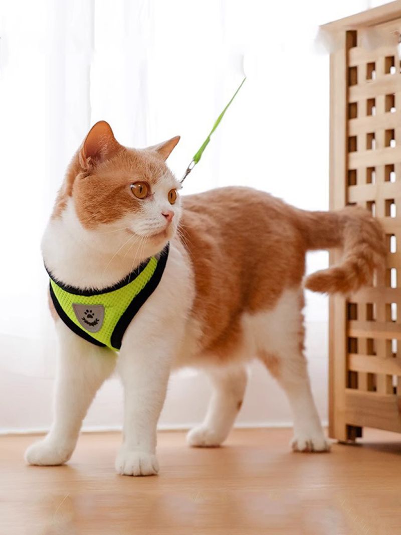A Set Of Dog Leash, Pet Harness, Dog Collar - Vest - Style Dog - Walking Essential For Outdoor Use_voghion.com
