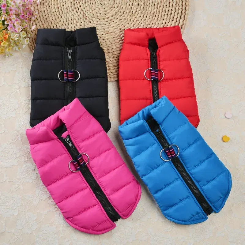 PetMundo Warm Windproof Jacket For Small Dogs By PawParty Store_voghion.com