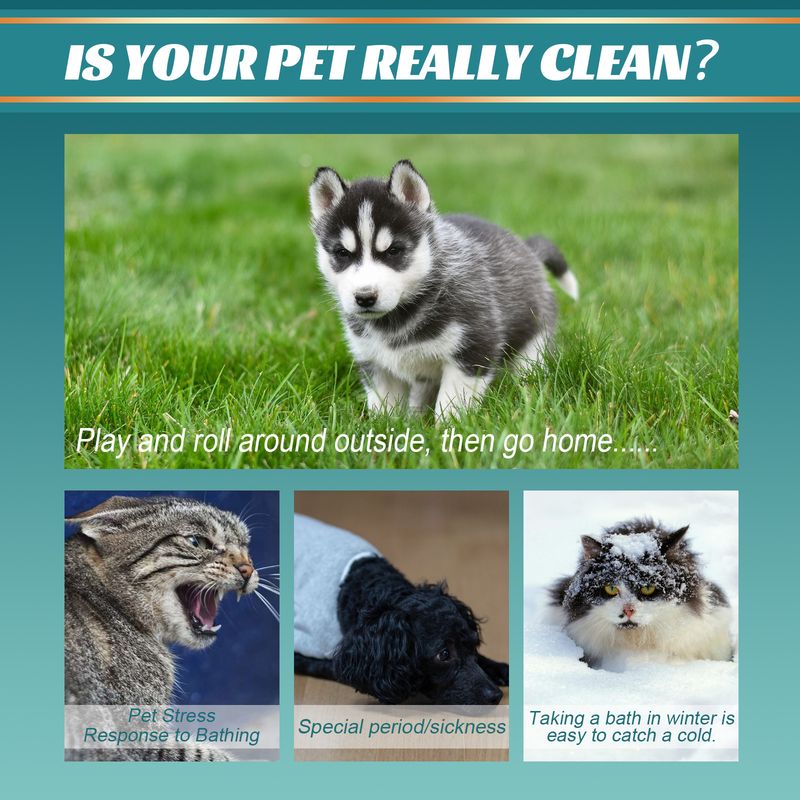 Gants jetables pour animaux de compagnie, nettoyage de spa pour chiens et chats, décontamination, bain, nettoyage à sec, gants pour éliminer les odeurs_voghion.com