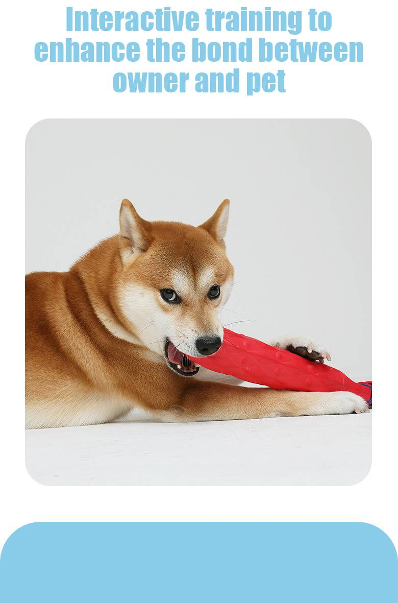 Giocattoli per animali domestici palla da addestramento schiumogena per cani resistente al morso per la dentizione, suono, sonaglio, carta da lancio all'aperto_voghion.com