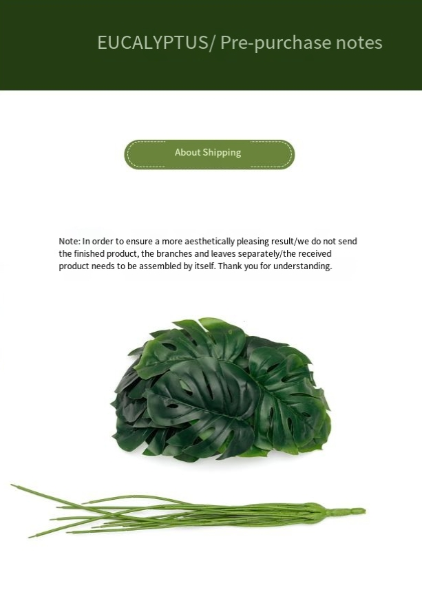 Simulazione di plastica 18 testa di tartaruga foglia soggiorno decorazione vaso pianta verde sfondo muro composizione floreale verde artificiale foglia di tartaruga_voghion.com