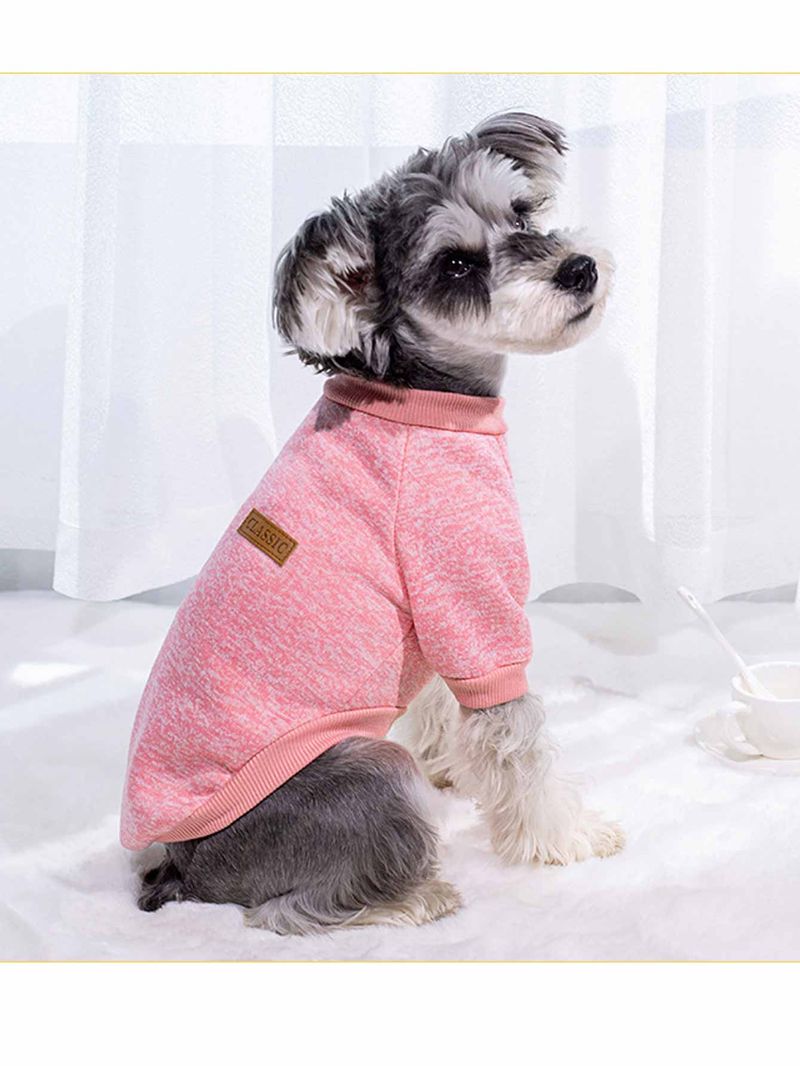 Dog And Cat Pet Clothes Autumn And Winter New Two Legged Multi Color Optional Thin Fleece Sweatshirt Teddy Pet Supplies Wholesale_voghion.com