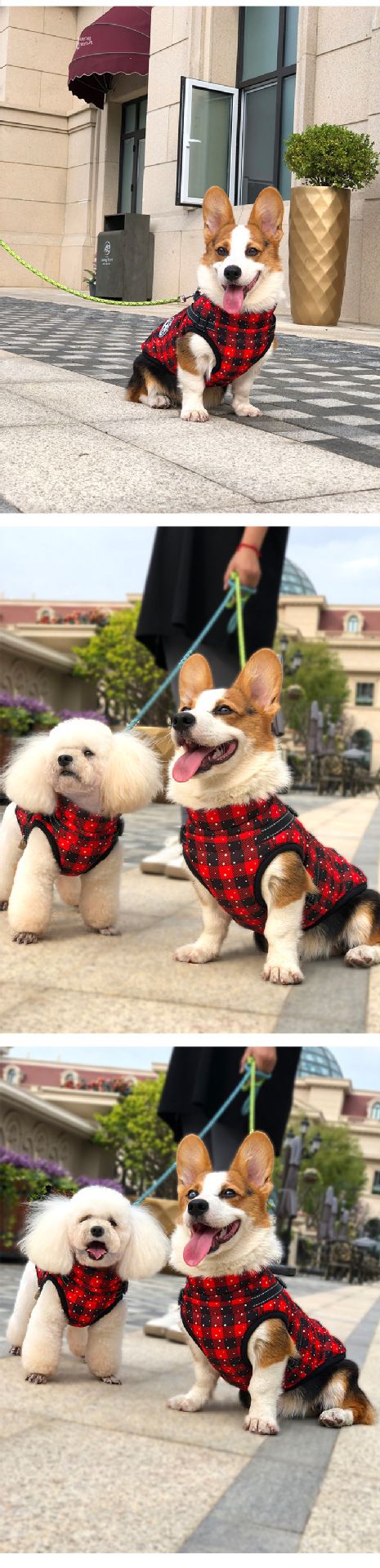 Sınır Ötesi Kırmızı Noel Köpek Kıyafetleri Sıcak Evcil Hayvan Giysileri Su Geçirmez Yansıtıcı Kemer Göğüs Sırt Pamuklu Giysiler Toptan_voghion.com