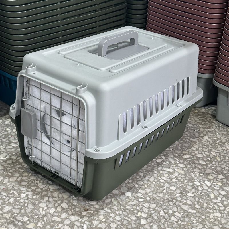 Trasportino per gatti da compagnia aerea, contenitore portatile per animali domestici, per gatti e cani_voghion.com