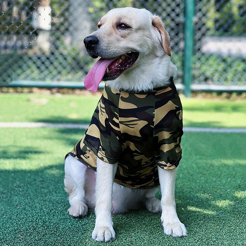 Sommer Haustier Kleidung für große Golden Retriever Labrador Husky Border Collie mittelgroße Hunde dünnen Stil_voghion.com