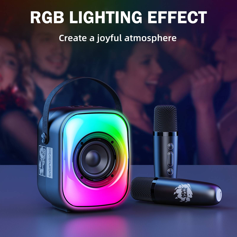 5W Karaoke Bluetooth-høyttaler med 2 mikrofoner (svart)_voghion.com