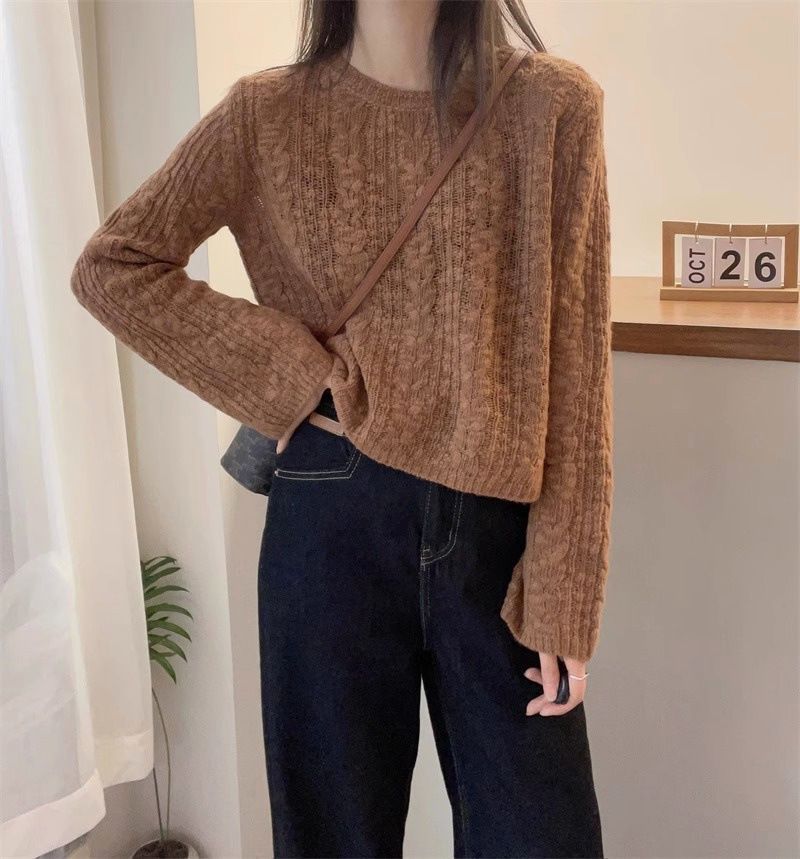girl Casual Versatile Long Sleeve Knitted Thin Women's Autumn New Lazy Style Loose Short Soft Round Neck Sweater_voghion.com