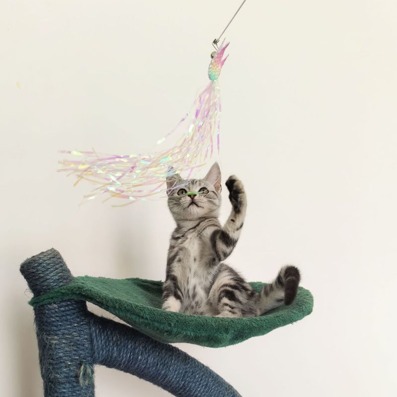 Fringe Wing Interactive Boredom Relief Bell Self-Entertainment Toy Durable Scratch-Resistant Cat Teaser Wand Steel Wire_voghion.com