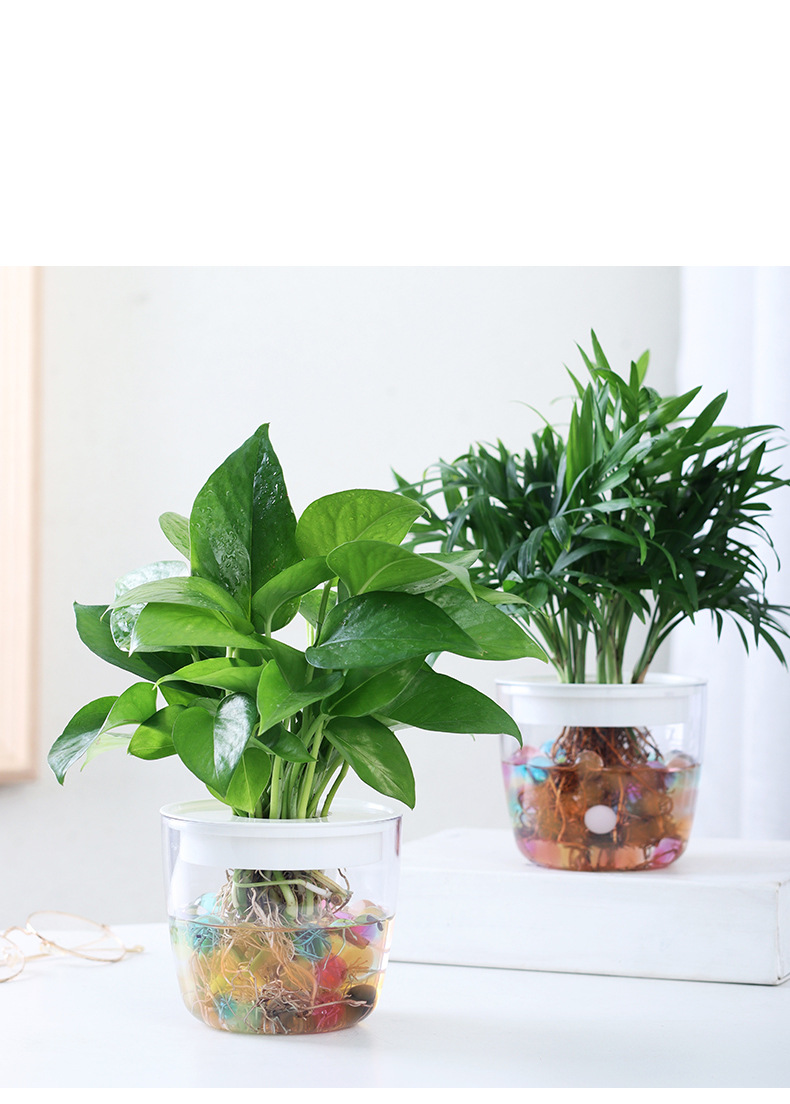 Gaartbedarfspack Nei G214 Voll transparent hydroponesch Blummendëppen Blummenarrangement Waasserfläsch_voghion.com