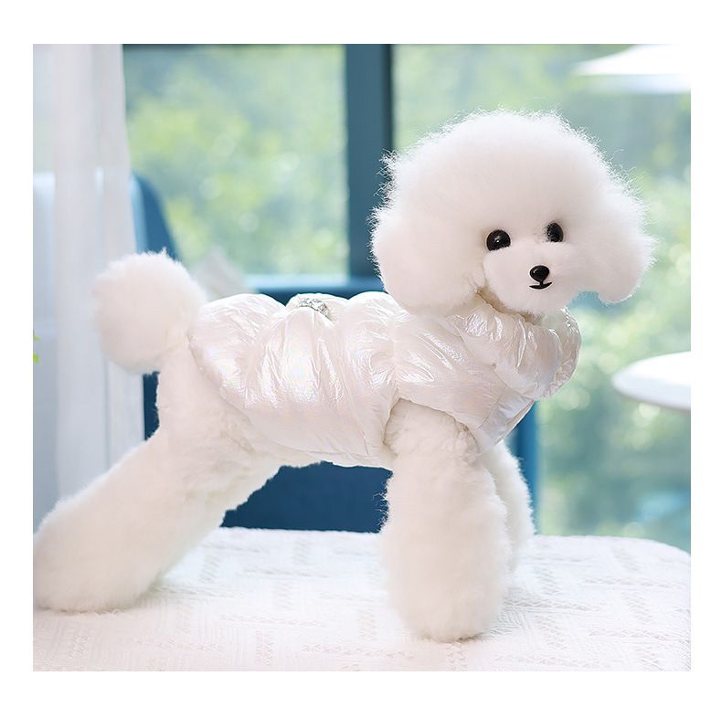 Nieuwe katoenen jas, vest, kattenkleding, honden donsjack, herfst- en winterkleding voor huisdieren_voghion.com