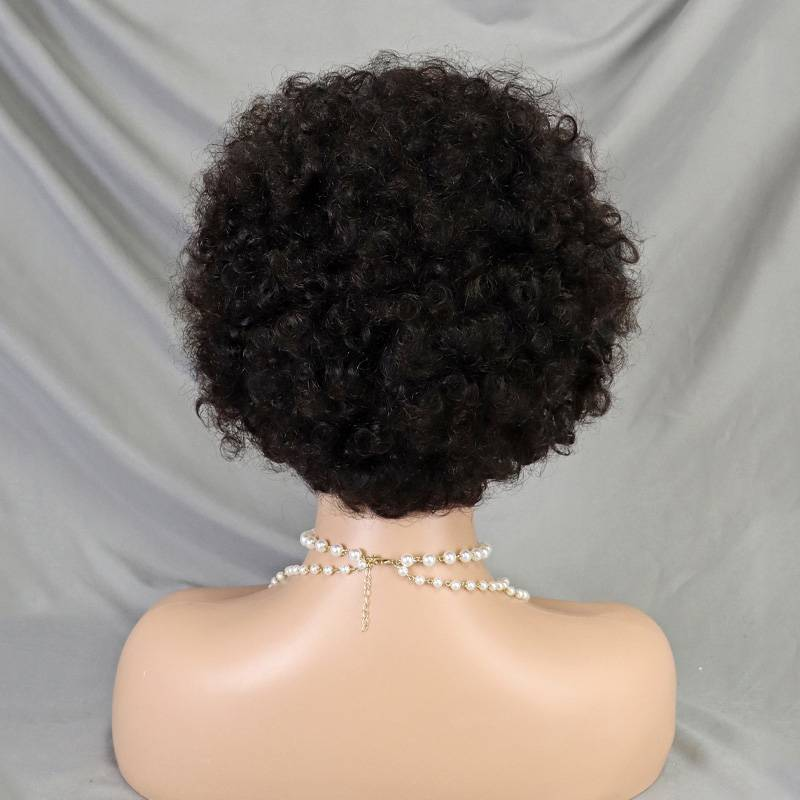 Kadınlar için 13x4 Kısa Afro Kıvırcık İnsan Saç Dantel Peruk Dostu_voghion.com