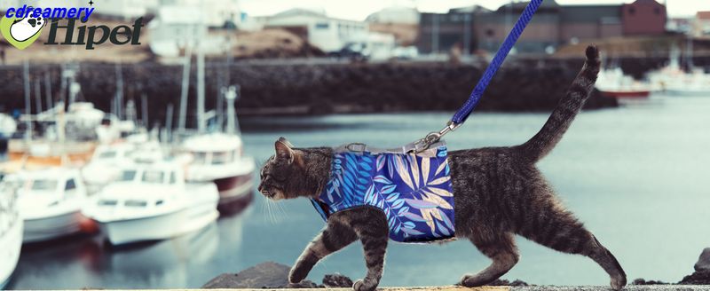 Cat Harness And Leash For Walking Escape Proof Air Mesh Fabric Outdoor Walking Vest With Reflective Strips For Cute Cats And Small Dogs (S, Pink)_voghion.com