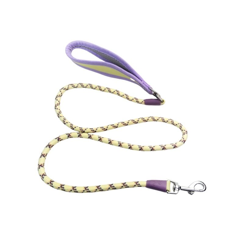 Collier rétractable pour animaux de compagnie, corde ronde, laisse et chaîne pour chien_voghion.com