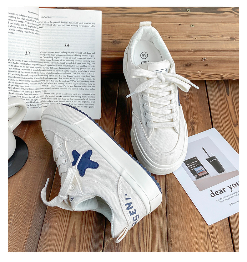 Kleine weiße Segeltuchschuhe Damen 2024 neuer Frühling und Herbst Ulzzang vielseitiges Nischendesign Stern flache Skateboardschuhe_voghion.com