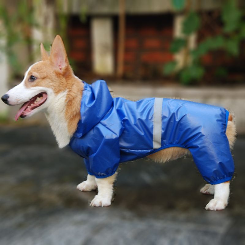 HAND-IN-HAND Waterproof Raincoat For Dogs By PawParty Store_voghion.com