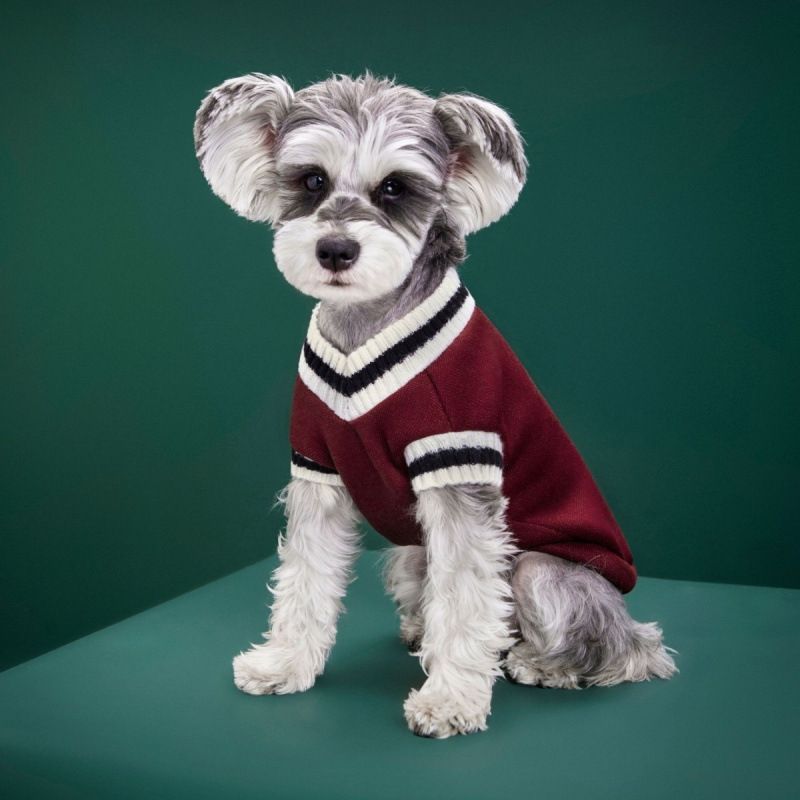 Clothes Campus Style Vest Badge Handsome Small Medium Large Cat Dog Knitted Cotton Couple Sweater_voghion.com