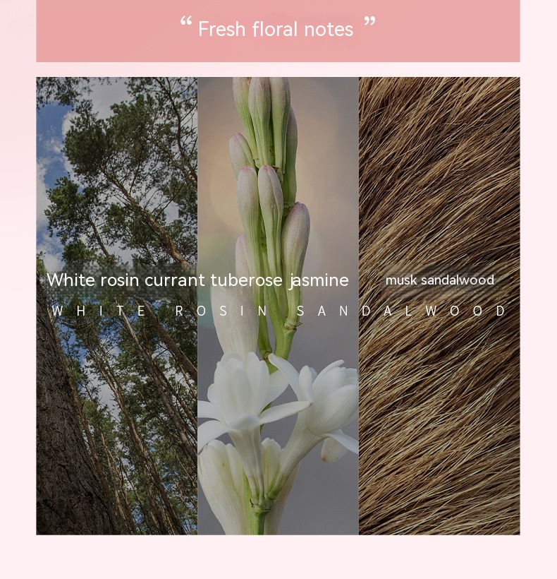 2024 Hot New Town Yixianghuayue Blommande parfymset för kvinnor Hållbar doft Populär presentförpackning för parfym från Vietnam_voghion.com