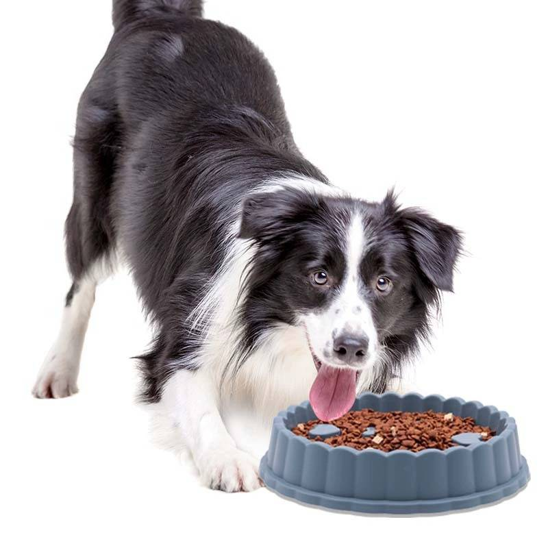 Ciotola Slow Food per cani di taglia media o grande_voghion.com