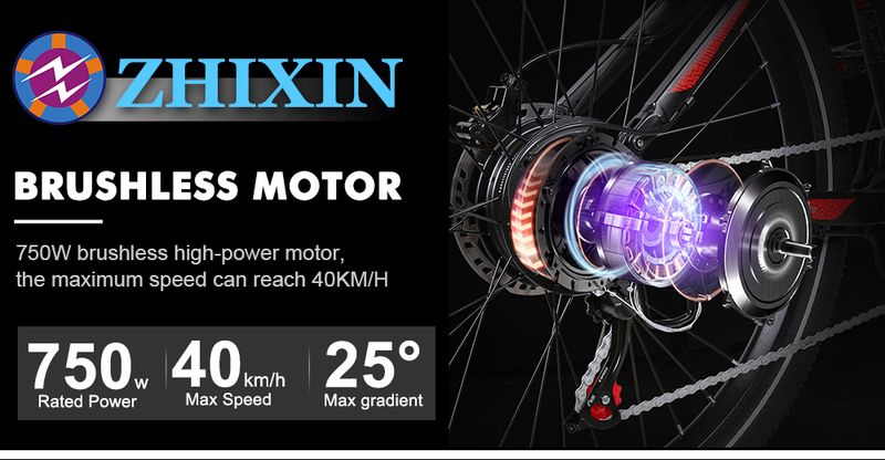 SAMEBIKE Elektrofahrrad für Erwachsene, 26-Zoll-Reifen-Elektrofahrrad, 48V14AH-Akku, 750W-Motor, vollgefedertes Mountain-E-Bike_voghion.com