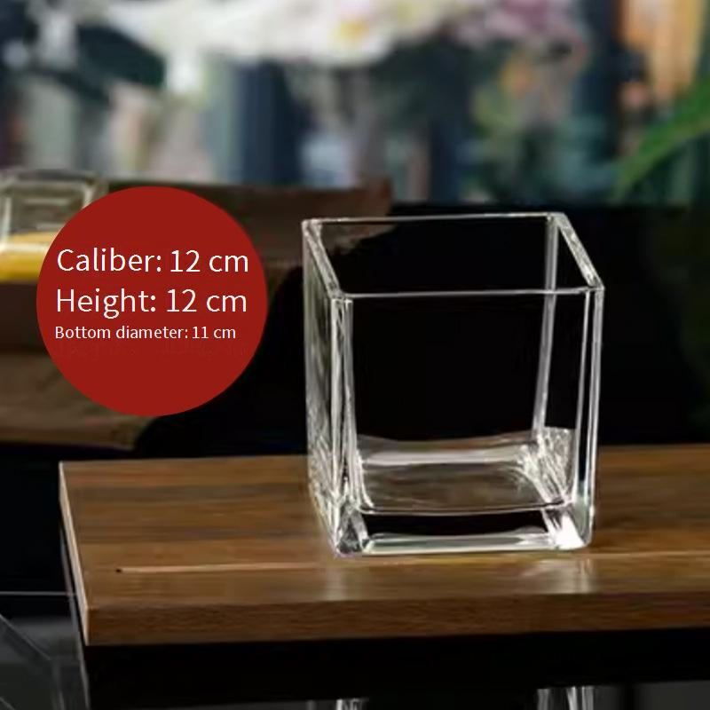 Home Decor Simple Hydroponic Vase Transparent Square Tank Water Growing Lily Tulip Daffodil White Palm Vessel Living Room Small Flower Pot_voghion.com
