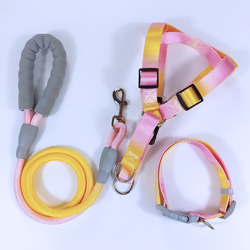 Guinzaglio Dopamina Gradient Color Gilet Pettorina Catena Corda per Cani_voghion.com