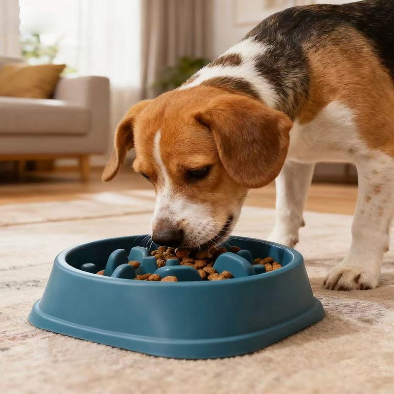 Neu für Hunde: Erstickungssicherer, großer, kippsicherer Futternapf für Hunde, Fressnapf für langsames Fressen_voghion.com