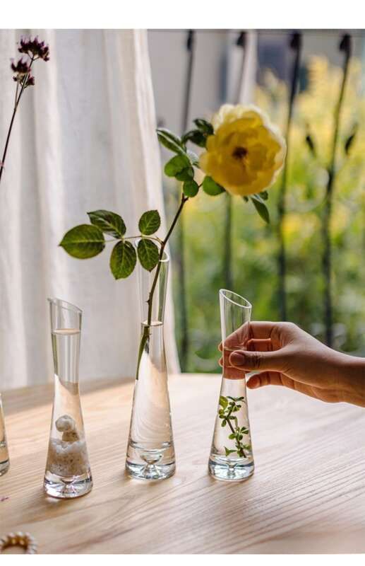 【 46000 People Collected 】 Juhan Nordic Ins High Beauty Arrangement Water Nourishing Small Vase Glass Transparent_voghion.com