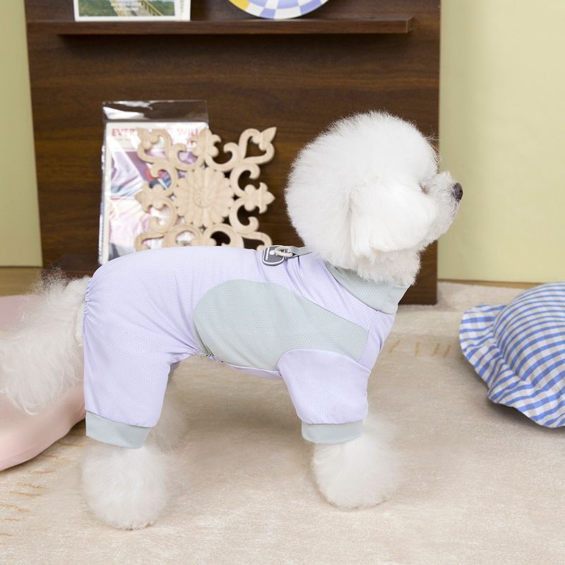Spri ve Yaz Buz İpek Hafif File Dört Ayaklı Yelek Açık Renkli Açık Hava Cooli Nefes Alabilir Küçük Köpek Evcil Hayvan_voghion.com
