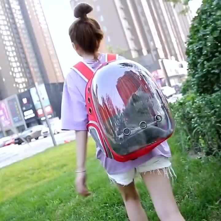Haustierträger Transparentes Schiebedach Tragbare Weltraumkapsel für den Außenbereich Katzenbedarf Atmungsaktiver Rucksack mit großer Kapazität_voghion.com