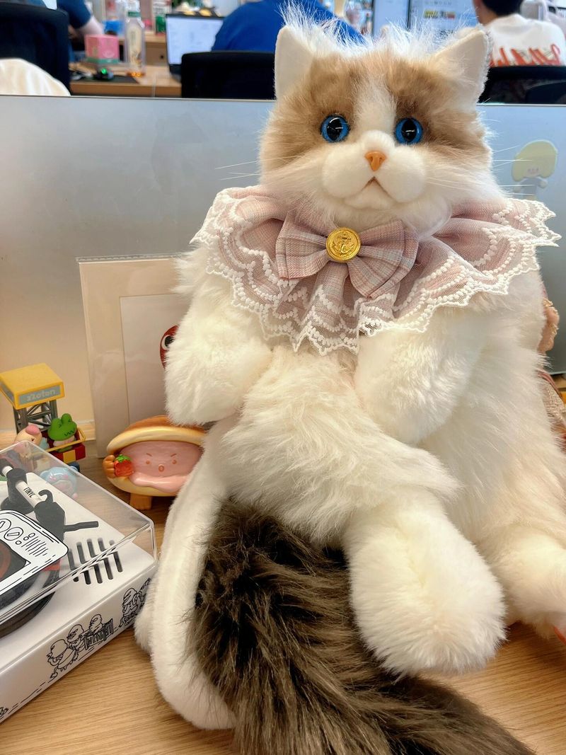 Simulation Katze Rucksack Kätzchen Plüsch Puppe Spielzeug Geburtstagsgeschenk Mädchen_voghion.com
