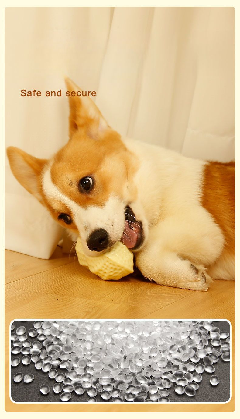 Toy Ball Durable Chew Teeth Grinding Sound Peanut Large Golden Retriever Puppy Corgi French Bulldog Cat Dog Pet Supplies_voghion.com