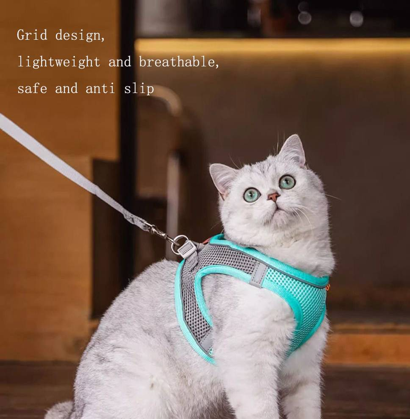 Corde de remorquage automatique universelle de 5 mètres pour chat et chien, gilet réfléchissant, respirante et confortable, pratique à utiliser_voghion.com