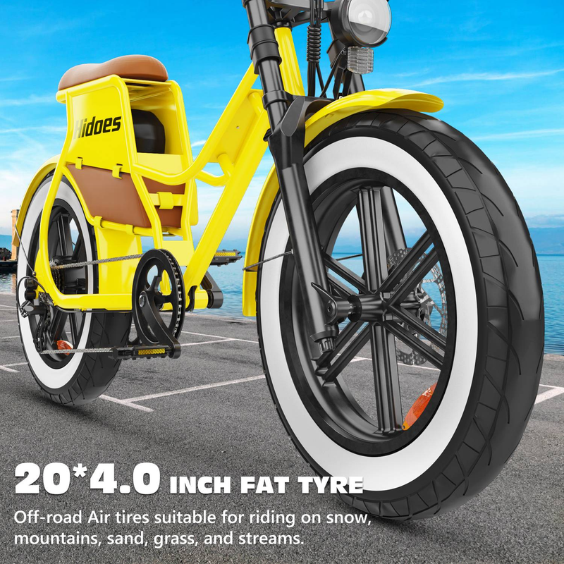 Hidoes C8 Elcykel för vuxna 20" Fat Tire Step Through City EBike 700W 48V 17Ah_voghion.com