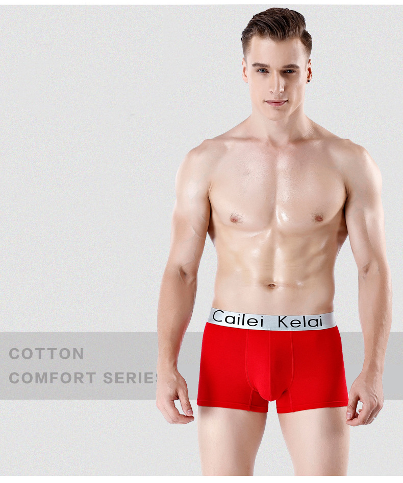 Herenondergoed Herenondergoed Puur Katoen Heren Boxershorts Boxed Independent Grote Maat Broeken Herenondergoed Namens Ondergoed_voghion.com