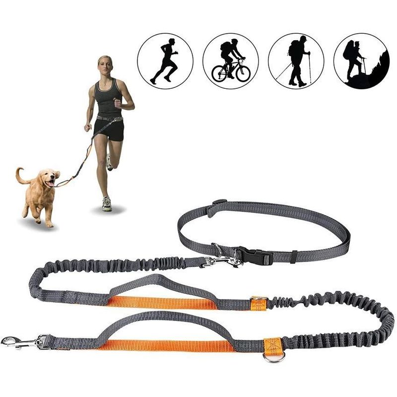 Hands-Free Cat And Outdoor Running Reflective Dual Retractable Pet Dog Leash_voghion.com