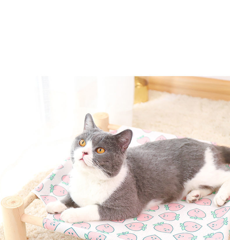 Husdjur tältsäng universell fyra säsonger trä katt säng sommar sval säng från marken säng avtagbar och tvättbar katt säng valpsäng_voghion.com