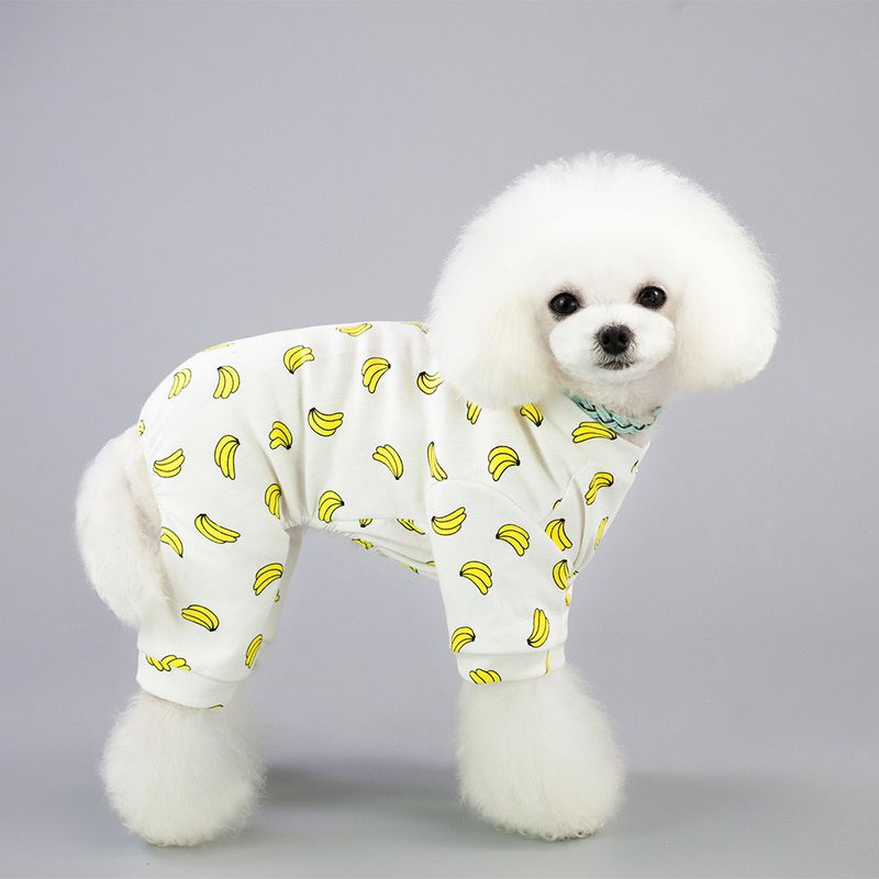 Teddy Katze Hund Vier beinigen Frühling und Herbst Haustier Kleidung 19 Fünf Farbe Hause Kleidung_voghion.com