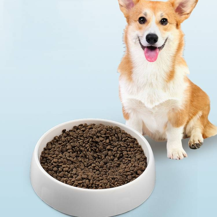 Planet Shape Pets Anti-Choking Slow Eating Bowl_voghion.com