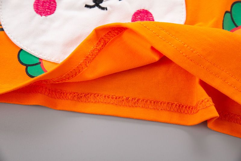 Five Little Seven Abbigliamento per bambini 2024 Nuovo stile estivo 0-4 Set di magliette a maniche corte con scollo rotondo per ragazzi e ragazze_voghion.com