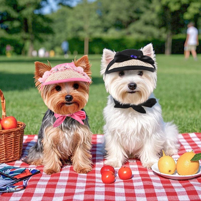 Kæledyrsudflugt Kat Sommerudgave Lille Hund Bamse Solcreme Øreeksponering Cool Hat_voghion.com