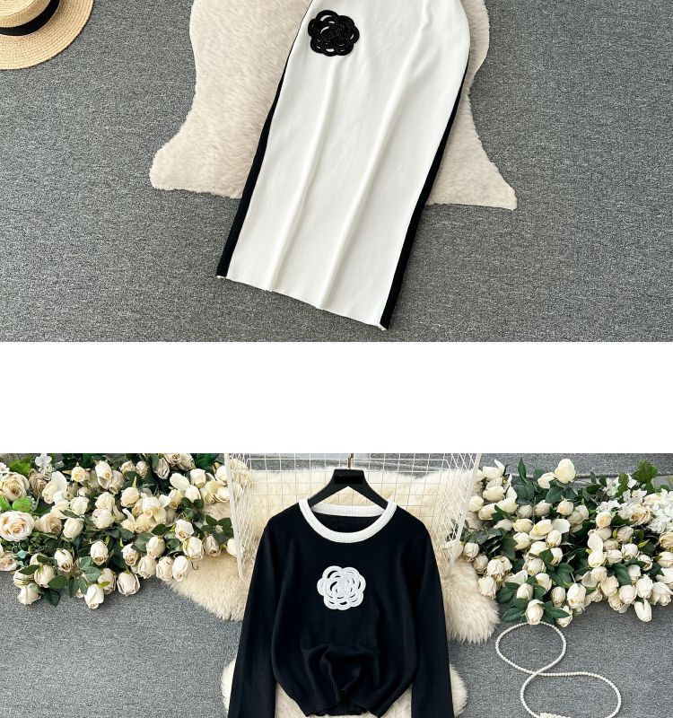 Zweiteiliger Anzug für Damen mit kontrastierendem Farbdesign, Rundhalsausschnitt, lockerem Langarm-T-Shirt und hoch tailliertem, schmalem, mittellangem Rock_voghion.com