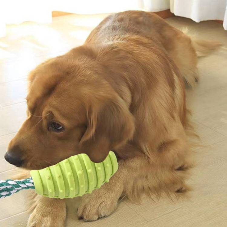 Dog Teething Toy Knot For Pet Bite Resistant Teeth Cleaning_voghion.com