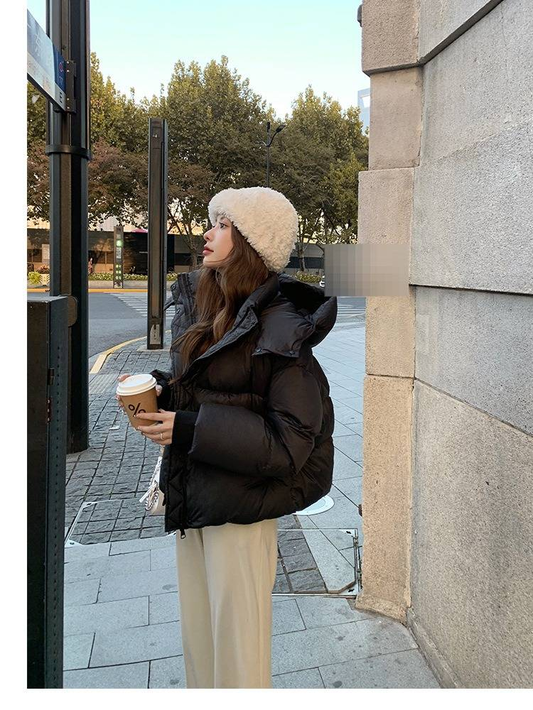 Damenbekleidung Winter Kurze Pufferjacke Mit Kapuze, Verdickter Lockerer Schnitt Modemantel Für Freizeit Und Pendeln_voghion.com