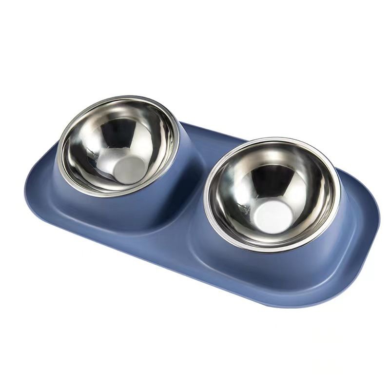 Nouveau bol double incliné en acier inoxydable pour chat et chien, bassin pour animaux de compagnie, anti-fuite, nourriture facile à nettoyer, protection du cou_voghion.com
