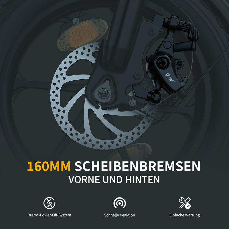 ESKUTE D100 Faltbares Elektrofahrrad 16 Zoll mit abnehmbarer 36V 13Ah Batterie_voghion.com