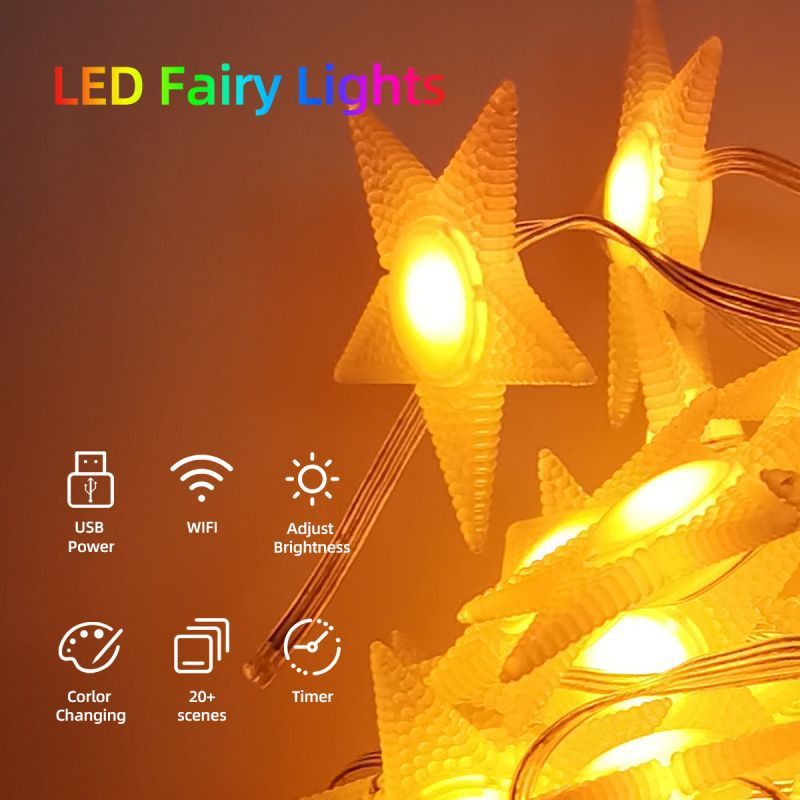 Home Furniture Smart Tuya Star Light String RGB Dual Mode Light String Atmosfera interna LED Filo di rame Wifi Light String USB Luce decorativa_voghion.com