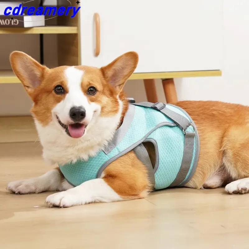 SummerCooling DogVest Ademende Mesh Kleding Voor Kleine Grote Honden Buiten Koele Jassen Verstelbare Hondenkoeljas_voghion.com