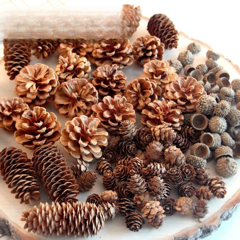 Decoration Pine Cone Acorn Flower Handmade DIY Forest Kindergarten Environmental Creation Dried Branches Wild Creative_voghion.com